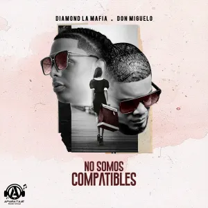 Pochette de No Somos Compatibles de Don Miguelo