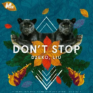 Pochette de Don’t Stop de Dzeko