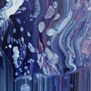 Pochette de Dripfield de Goose