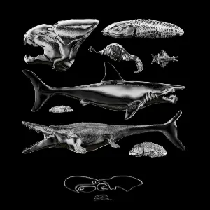 Pochette de P.O.E.M. II de Owen