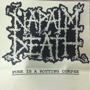 Pochette Punk Is a Rotting Corpse