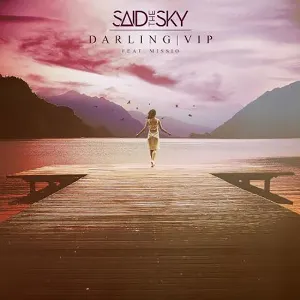 Pochette de Darling VIP de Said the Sky