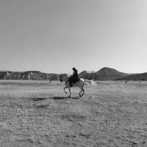 Pochette de Paris de Dead Chic