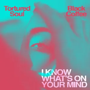 Pochette de I Know What's on Your Mind de Tortured Soul