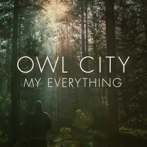 Pochette de My Everything de Owl City