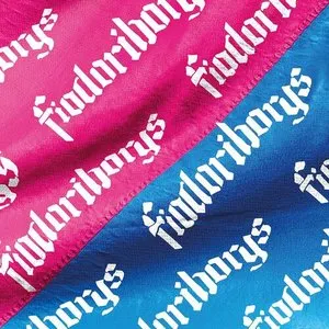 Pochette de Fiodor i Borys de Tede