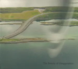 Pochette de The Beauty of Exaggeration de Axel Dörner