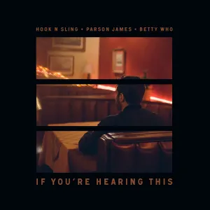 Pochette de If You're Hearing This de Hook n Sling