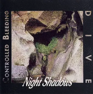 Pochette de Night Shadows de Dive