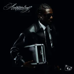 Pochette de AMAZING de Dau