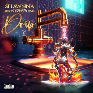 Pochette de Drip de Shawnna