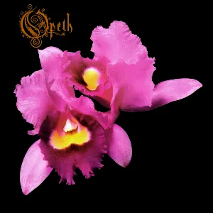 Pochette Orchid