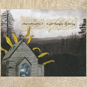 Pochette de sleepmakeswaves & Tangled Thoughts of Leaving de sleepmakeswaves
