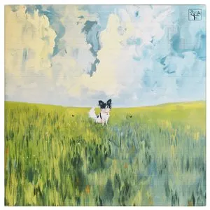 Pochette de Papillon de The Flashbulb