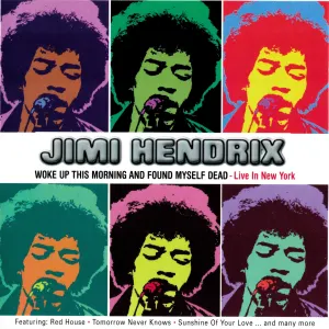 Pochette de Woke Up This Morning and Found Myself Dead – Live in New York de Jimi Hendrix