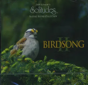 Pochette Birdsong II