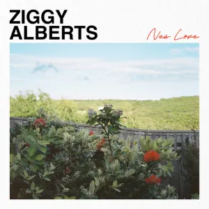 Pochette de New Love de Ziggy Alberts