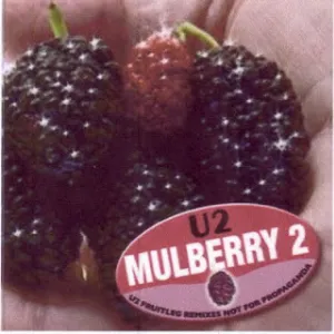 Pochette Mulberry 2: U2 Fruitleg Remixes Not for Propaganda