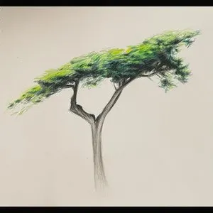 Pochette de When The Wind Blew Through Your Branches de Buckethead