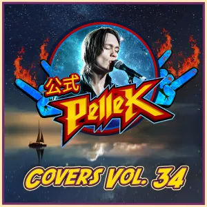 Pochette de Covers Vol. 34 de PelleK