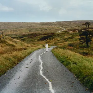 Pochette de The Loop de Jordan Rakei