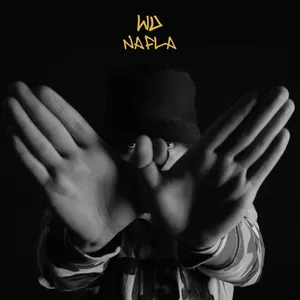 Pochette de Wu de nafla