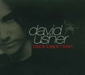 Pochette de Black Black Heart de David Usher