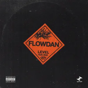 Pochette de Level de Flowdan