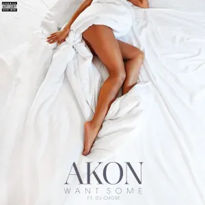 Pochette de Want Some de Akon