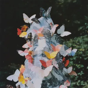 Pochette de Josephine de Daphni