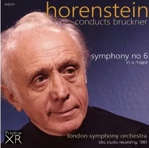 Pochette Bruckner: Symphony no. 6