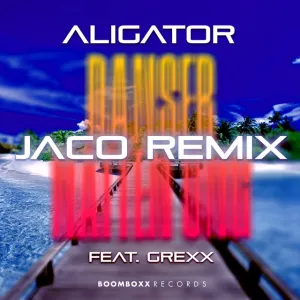 Pochette de Danser Natten Ung (Jaco Remix) de DJ Aligator