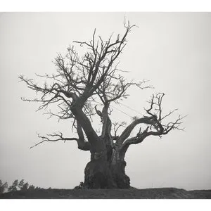 Pochette de SEKAI NO OWARI 2010-2019 de SEKAI NO OWARI