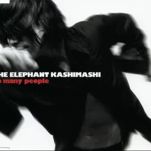 Pochette de so many people de Elephant Kashimashi