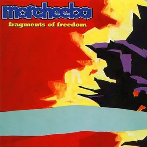 Pochette Big Calm / Fragments of Freedom