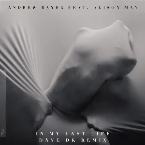 Pochette de In My Last Life (Dave DK remix) de Andrew Bayer