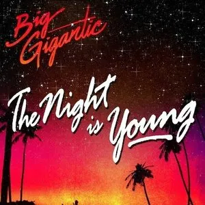 Pochette de The Night Is Young de Big Gigantic