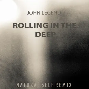 Pochette Rolling in the Deep (Natural Self remix)