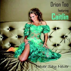 Pochette de Never Say Never de Orion Too