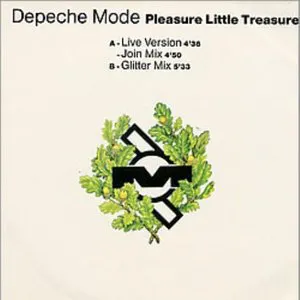 Pochette Pleasure Little Treasure
