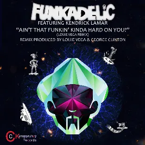 Pochette Ain’t That Funkin’ Kinda Hard on You? (Remixes)
