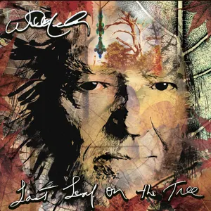 Pochette de Lost Cause de Willie Nelson
