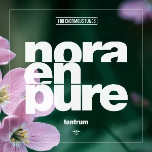 Pochette de Tantrum de Nora en Pure