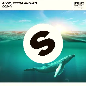 Pochette de Ocean de Alok
