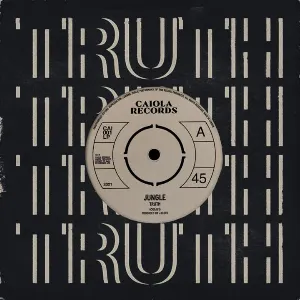 Pochette de Truth de Jungle