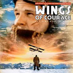 Pochette Wings of Courage
