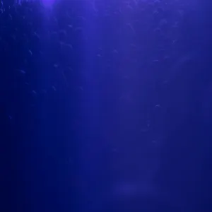 Pochette de Caruso (live) de Faber