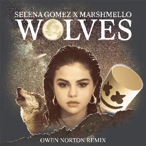 Pochette Wolves (Owen Norton remix)