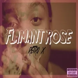 Pochette de Flamant Rose de Retro X