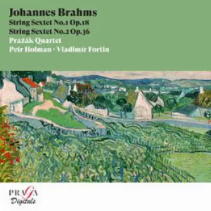 Pochette Johannes Brahms: String Sextets Nos. 1 & 2